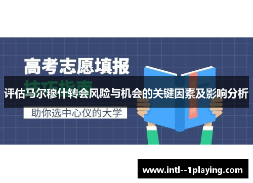 评估马尔穆什转会风险与机会的关键因素及影响分析